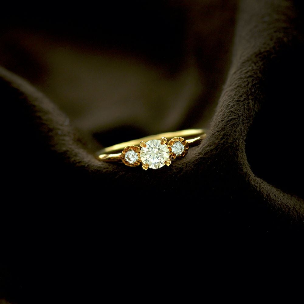 engagement | CASUCA