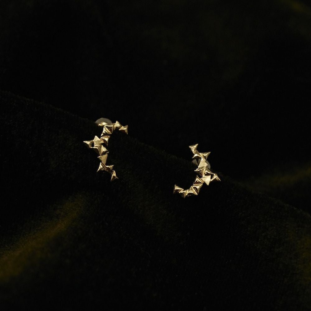 Pierce & Earring